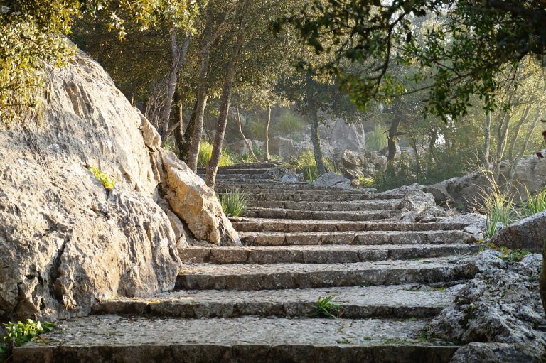 Mandelblüte Mallorca 2025 – Wanderweg aus Naturstein in der Frühlingssonne
