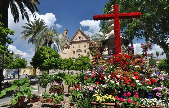 Farbenprächtiges Blumenkreuz vor historischer Kirche in Córdoba – andalusische Lebensfreude beim Cruces de Mayo während des Pfingsten Urlaubs erleben